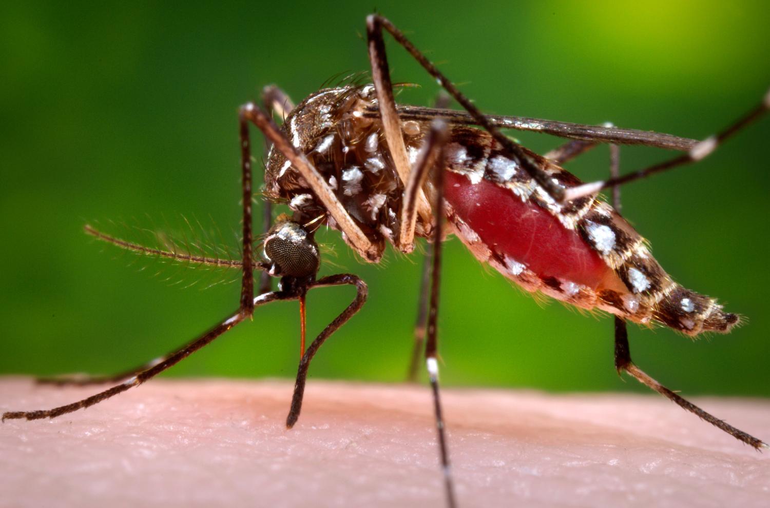 Invitation from Texas A&M - Innovate Against Zika