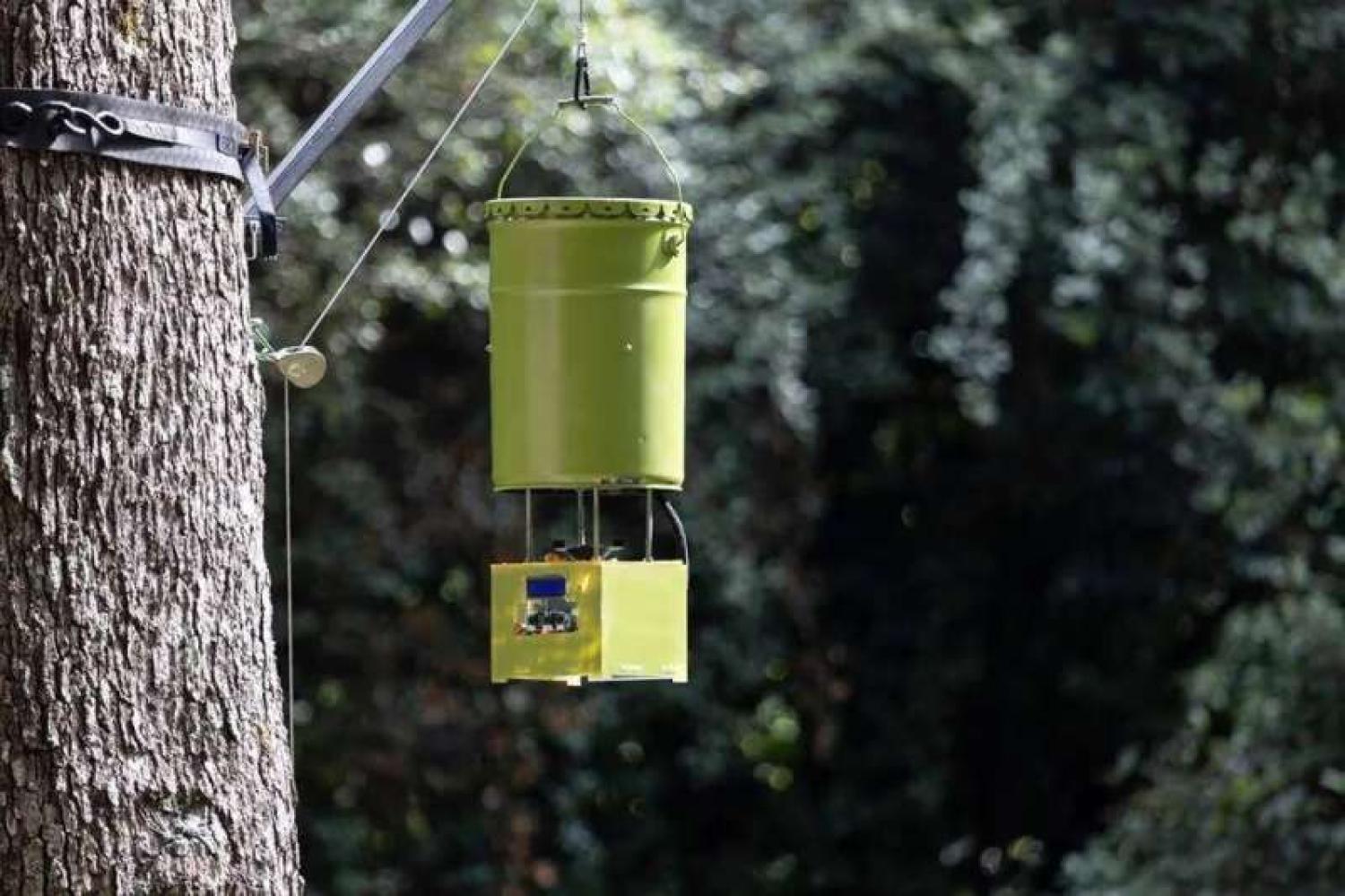 Engineering a new way to feed gorillas