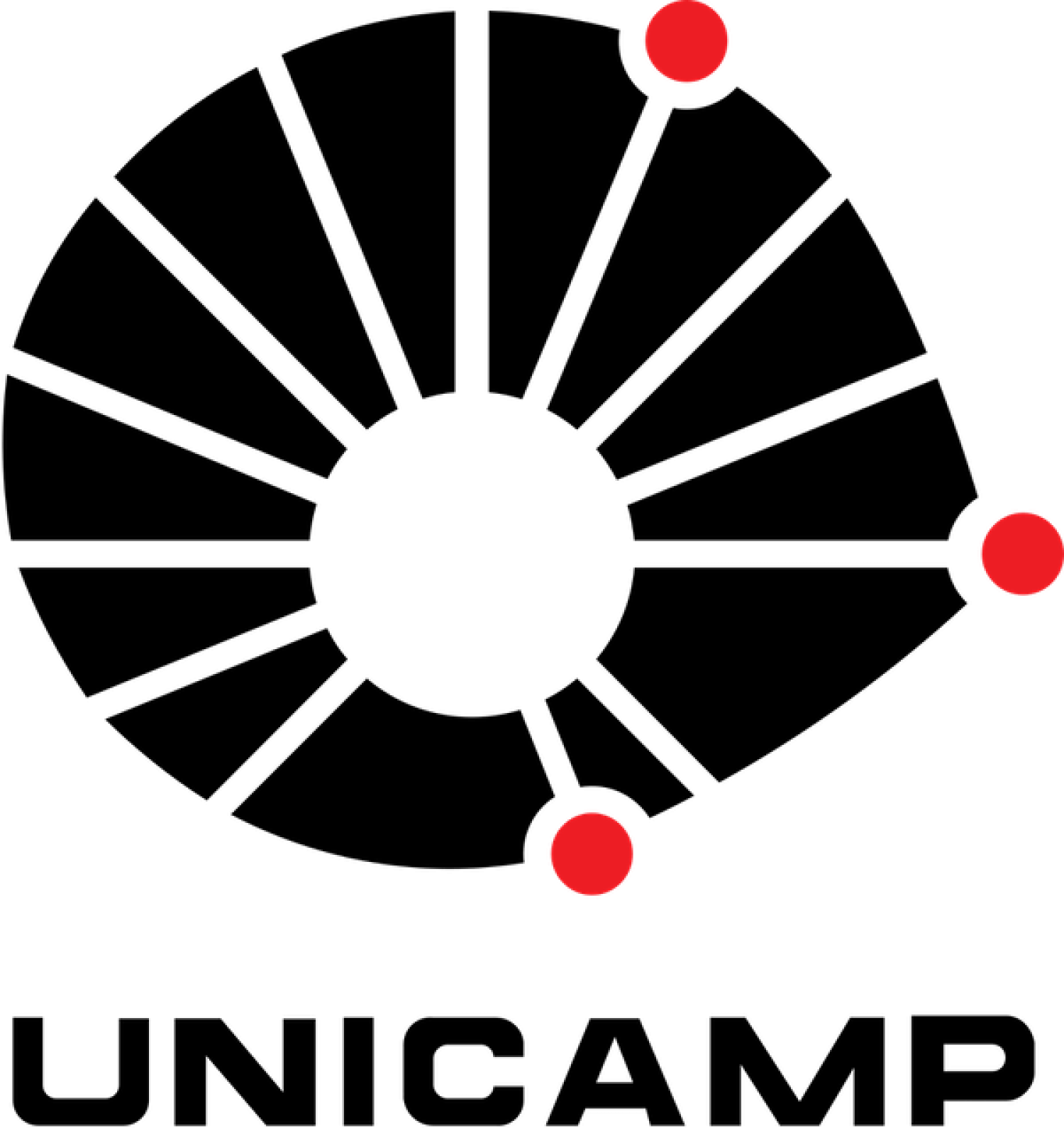 Universidade Estadual de Campinas (Unicamp)