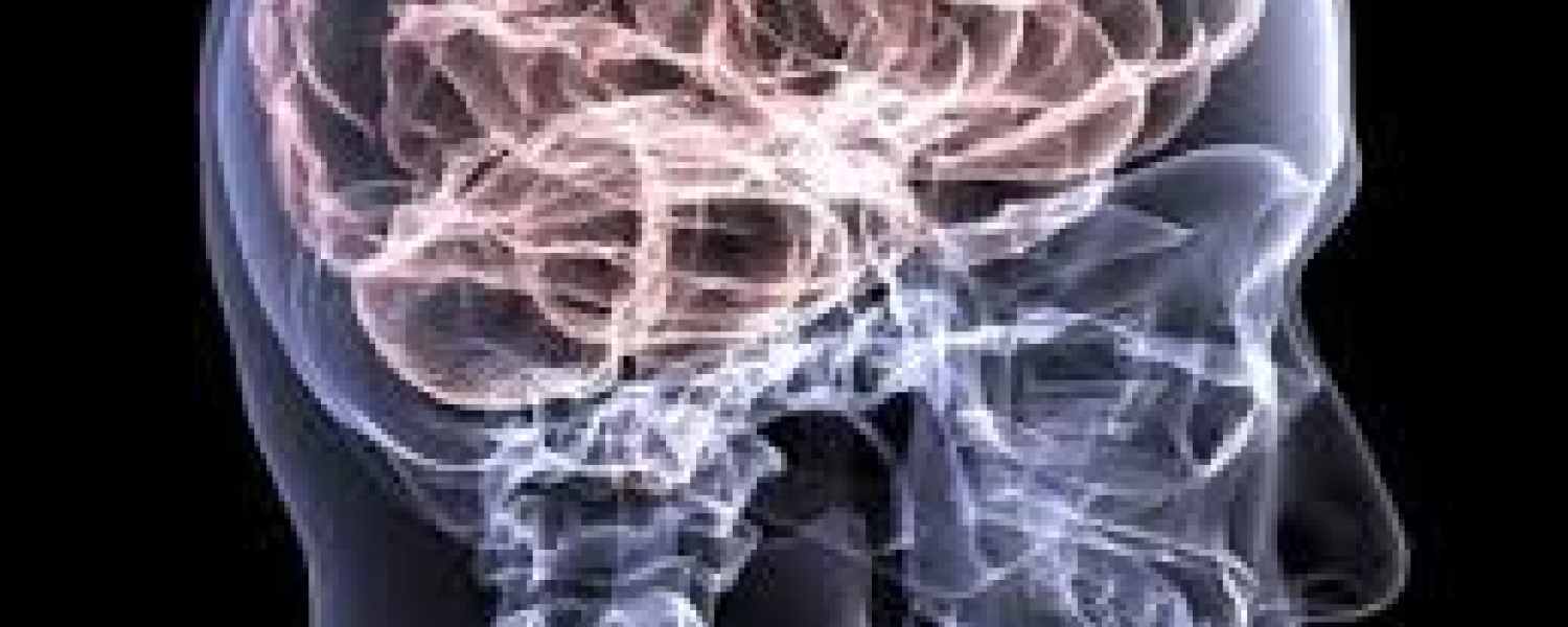 Brain Trauma Assessment Protocols Brain Trauma Assessment Protocols