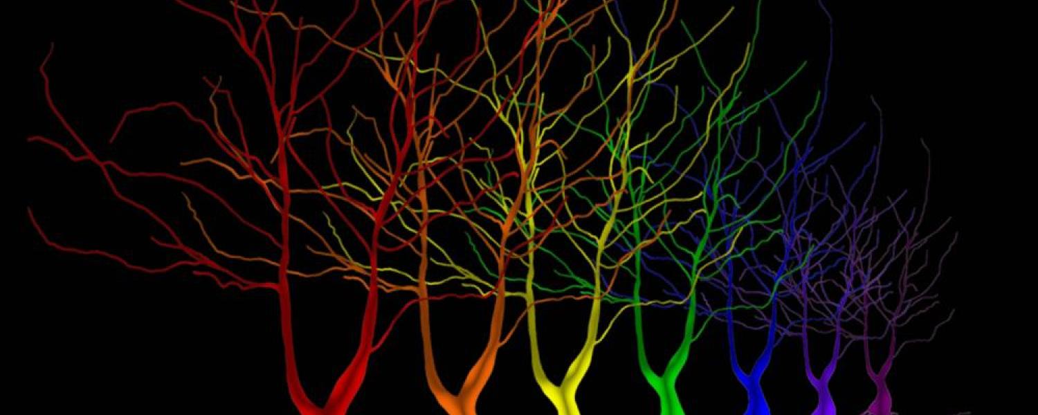 Chronic Stress and Cognitive Resilience Chronic Stress and Cognitive Resilience