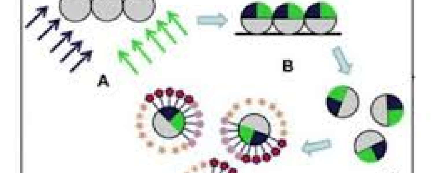 BioBots BioBots