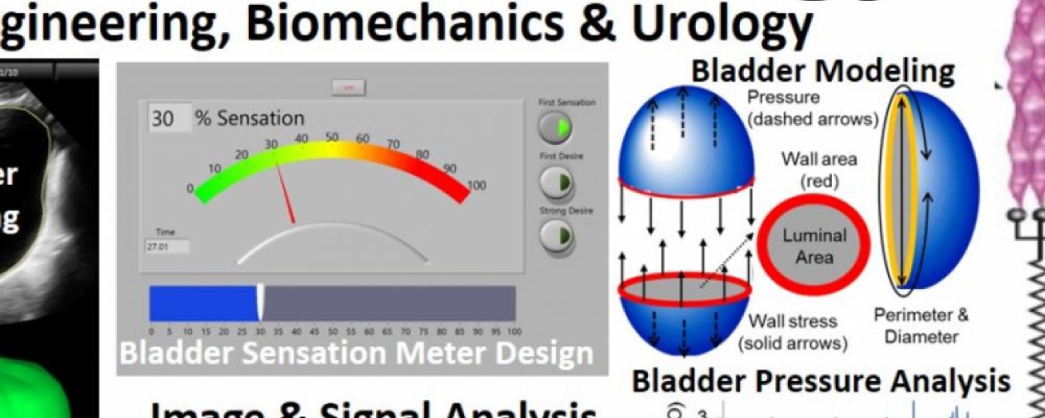 MechanoUrology' Engineering, Biomechanics, Biochemistry and Urology