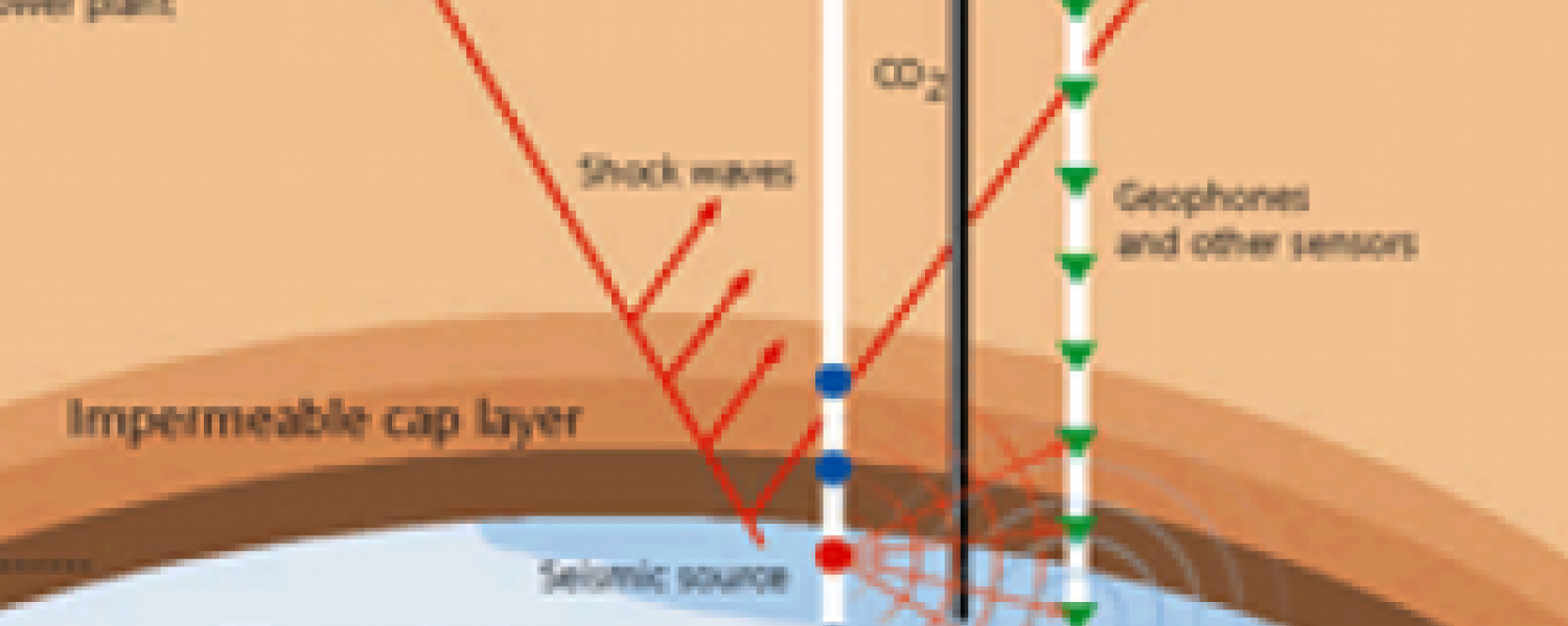 Bio-inspired Network Dynamics and Geomechanics Bio-inspired Network Dynamics and Geomechanics