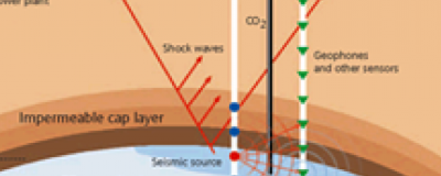 Bio-inspired Network Dynamics and Geomechanics