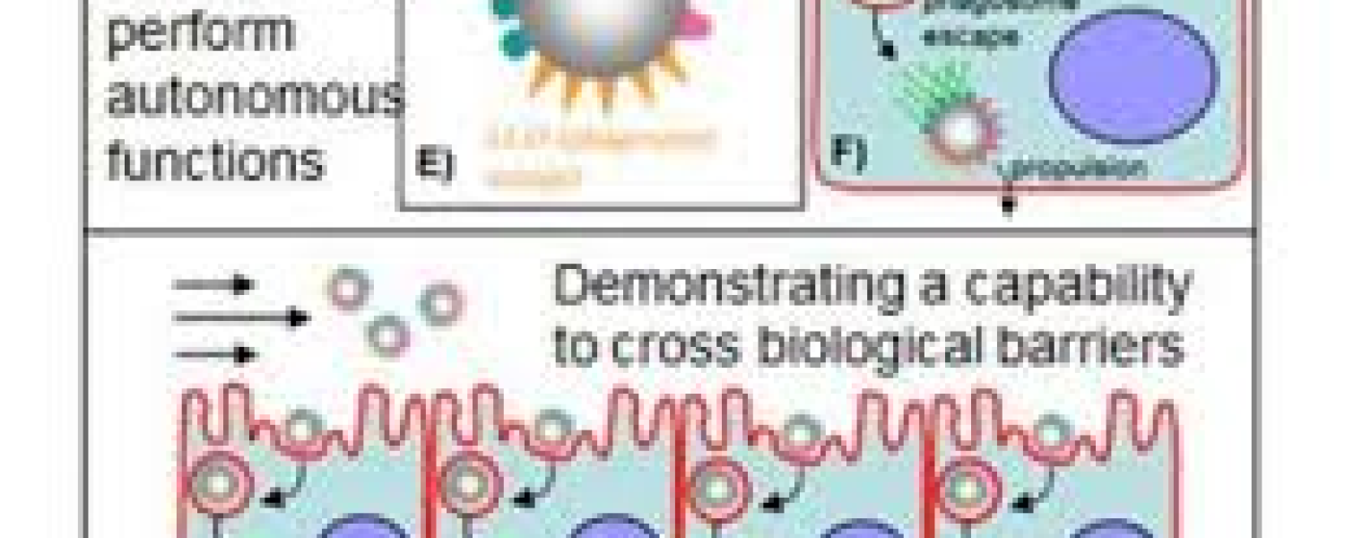 BioBots BioBots